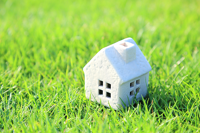 芝生の上に置かれた家の模型